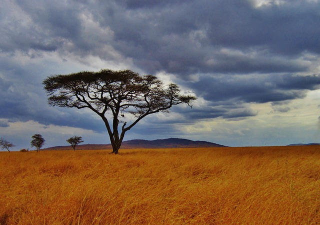 Voyage Tanzanie