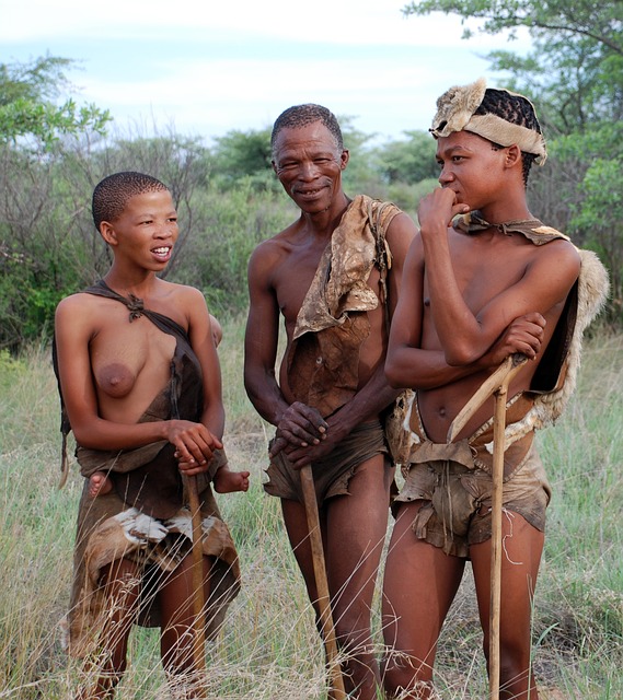 Vacances Botswana