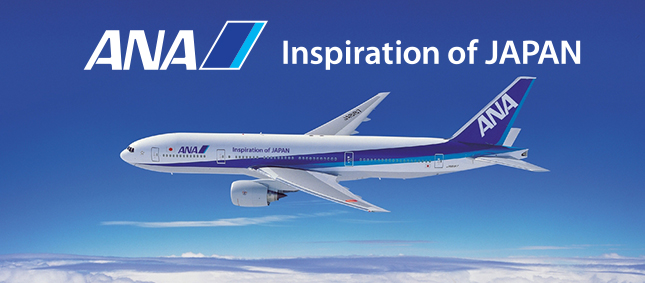 413_ana_avion2