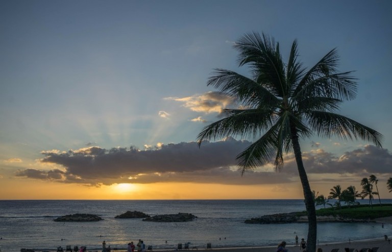 571_Hawai